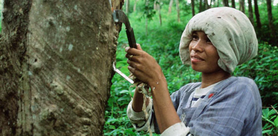【煒林納】泰國橡膠加工產品出口美國態勢良好